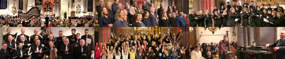 Gotlands Körförbund